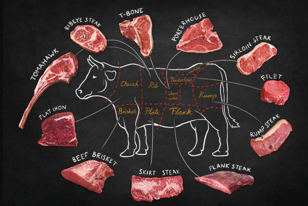 Image of beef cow with cuts of beef named